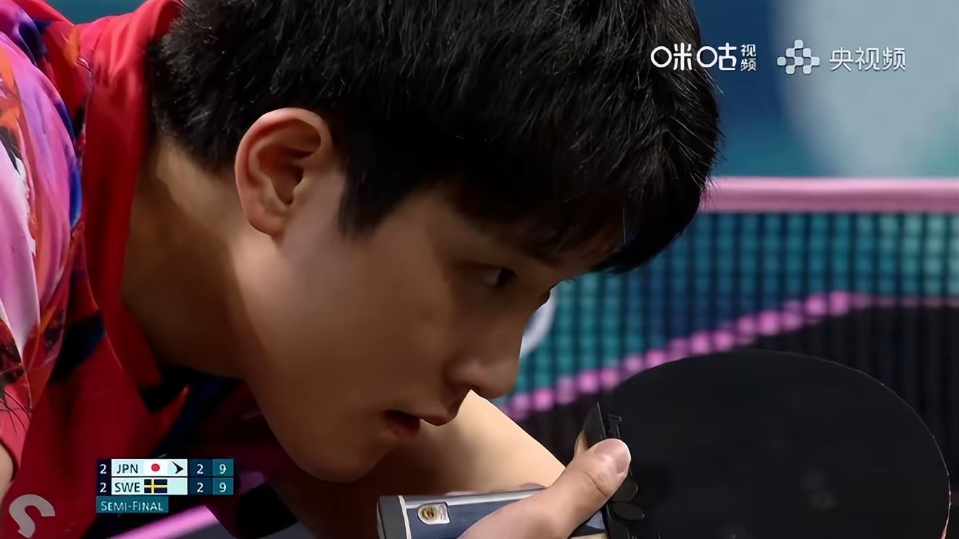 波兰队横扫瑞典队，张本智和高光表现的简单介绍