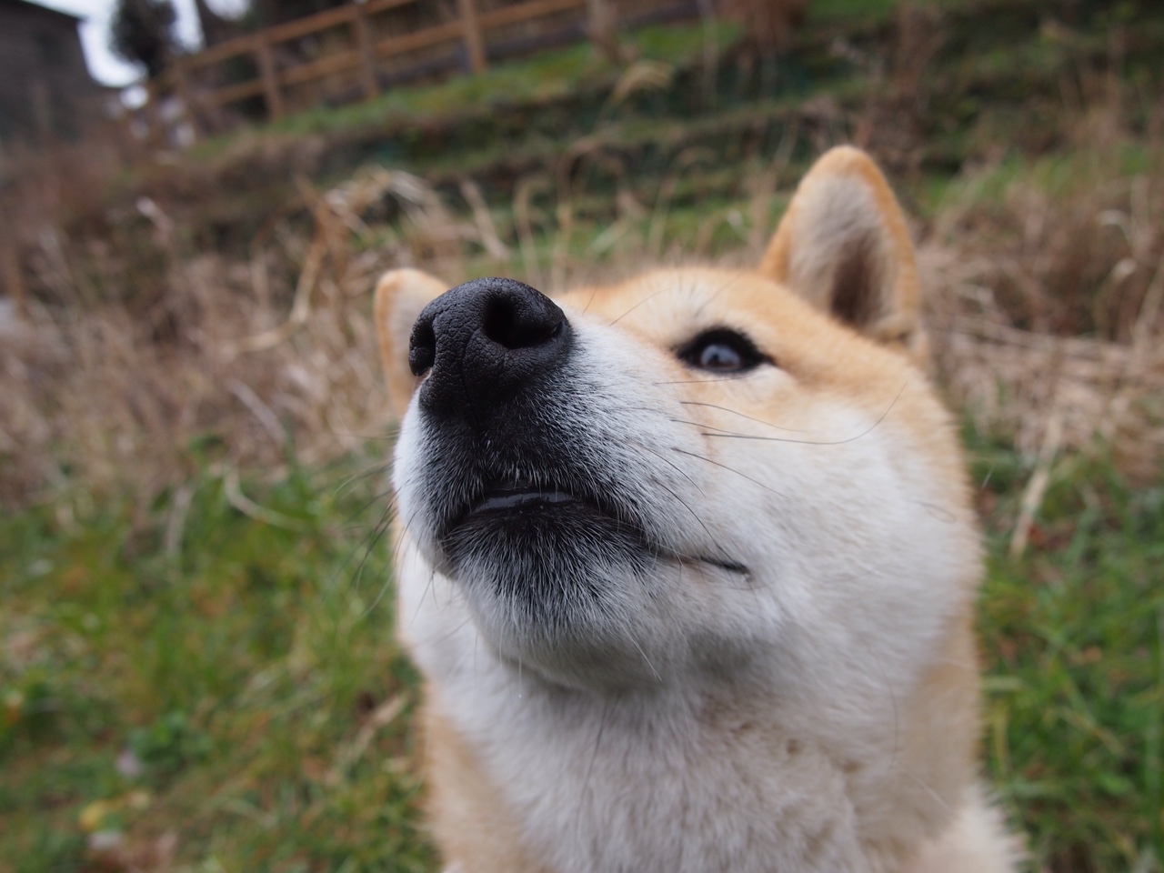 慈善之夜，曼城对阵厄瓜多尔全明星，本泽马独挑大梁扛起全队