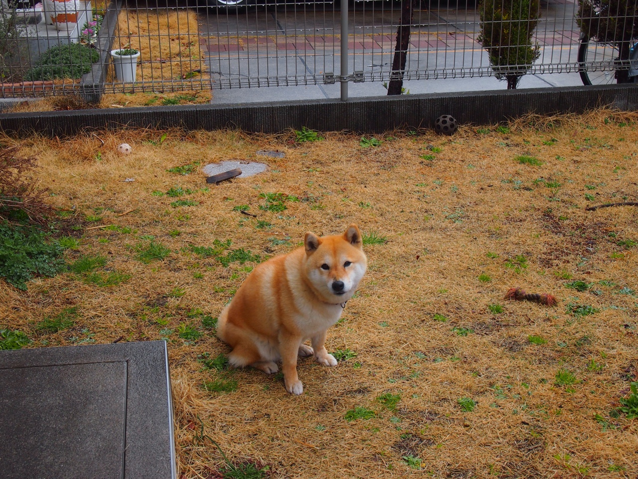 苔藓与星辰，足球的两种美学，同一份荣耀