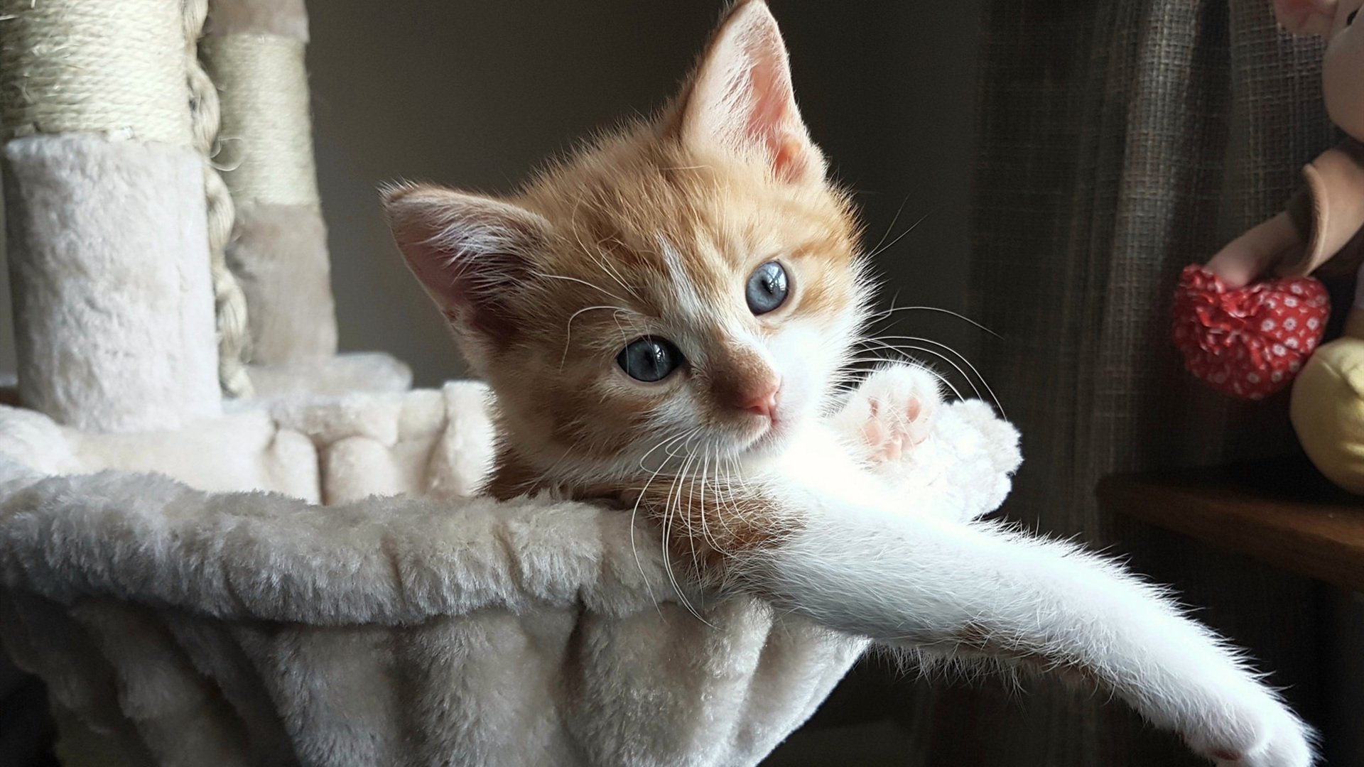 52分16篮板11助攻！锡安用一场爆炸数据改写了整个系列赛的命运