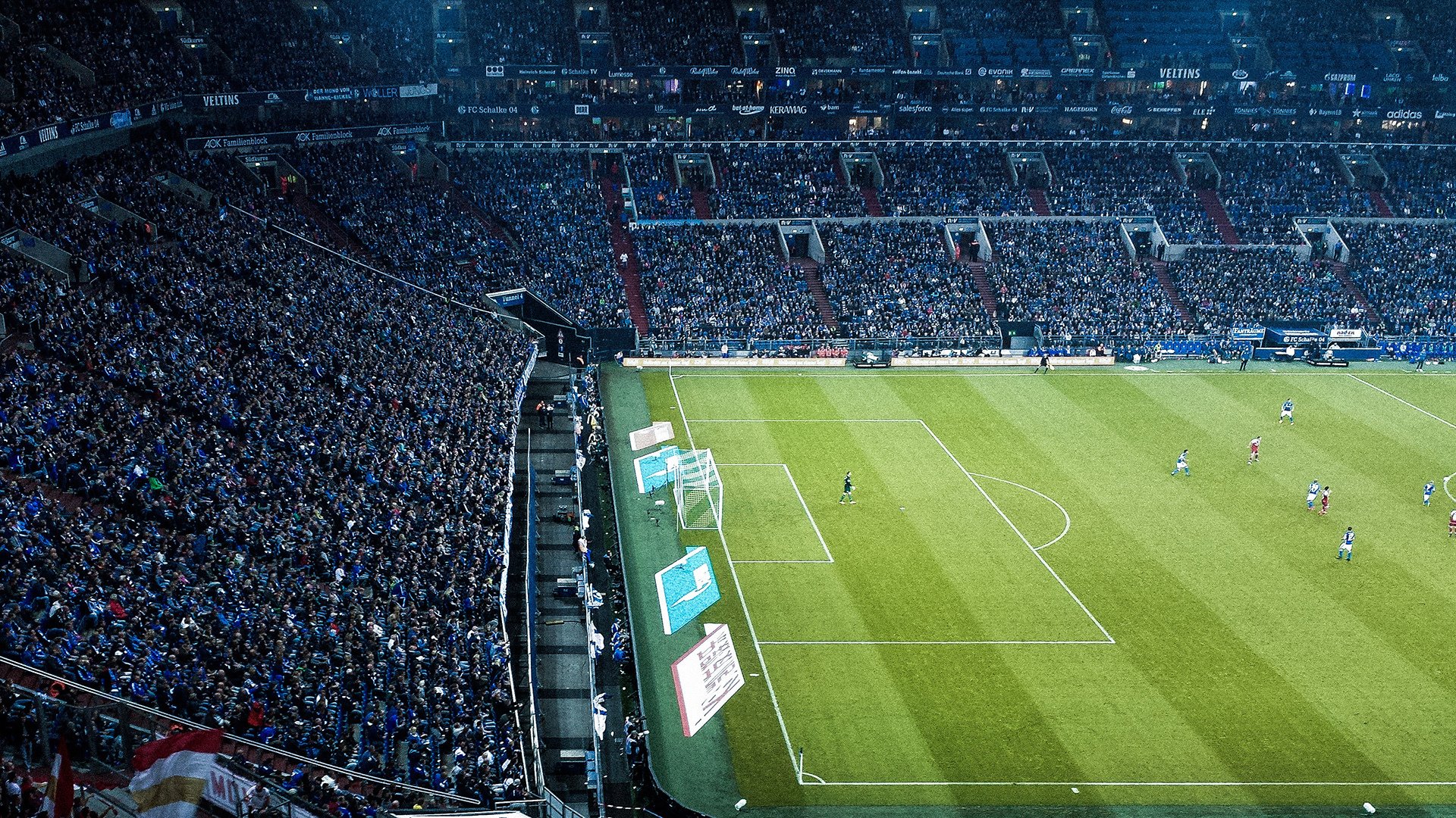 蜂群法则，当篮球遇上欧冠之夜的血脉压制