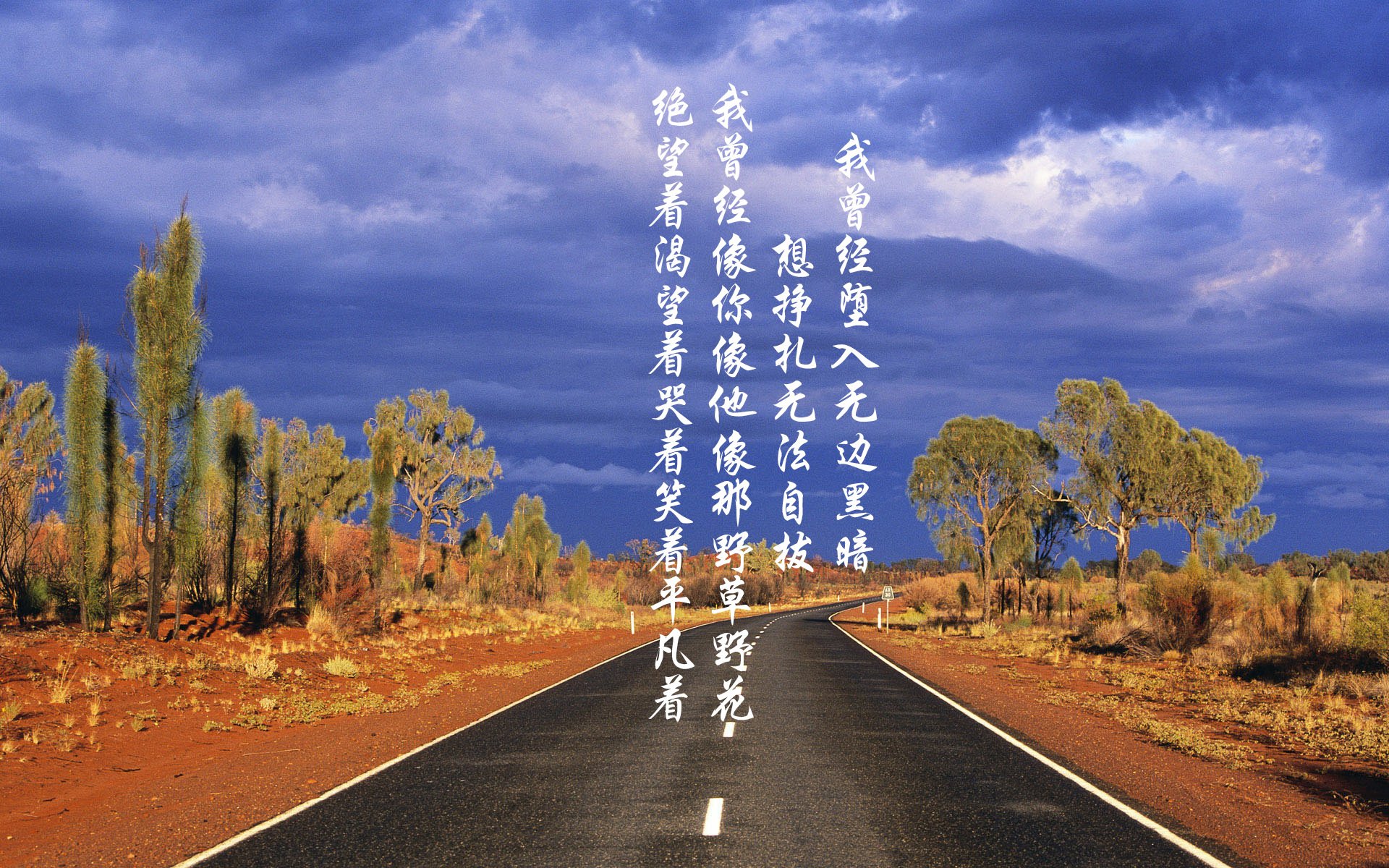 以下是为您构思的文章