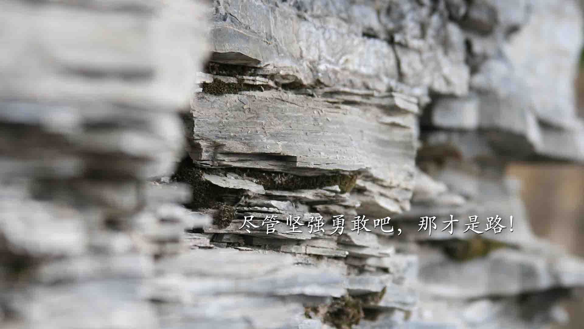 北欧德比变天,瑞典三叉戟碾压挪威,加维点亮2026世界杯唯一不败金身