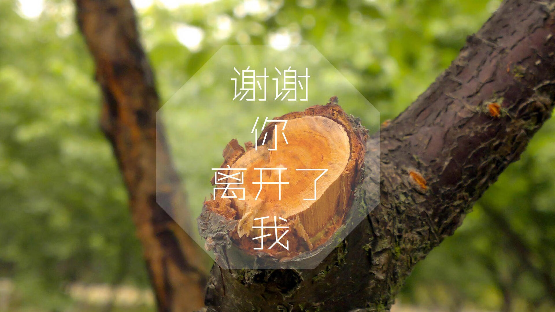 努涅斯？努涅斯！冰岛秘密武器引爆2026世界杯E组冷门
